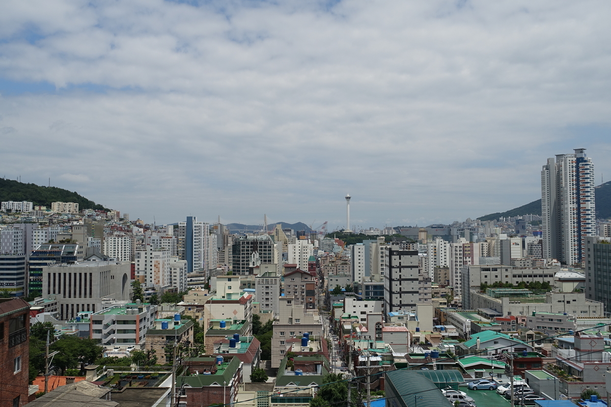 f:id:dongguacha:20200918172652j:plain