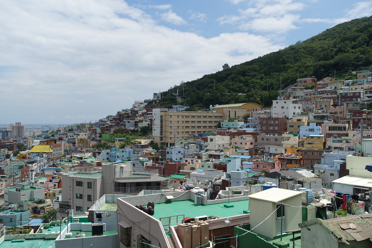 f:id:dongguacha:20200918172653j:plain