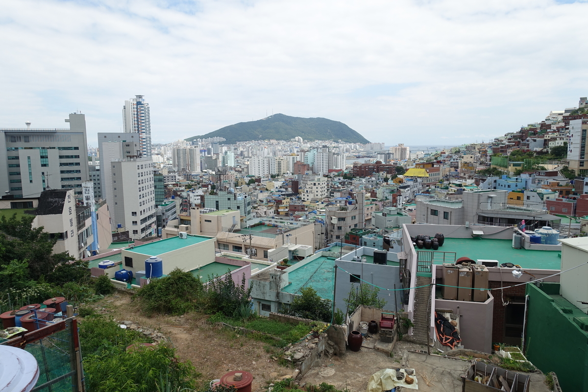 f:id:dongguacha:20200918172655j:plain