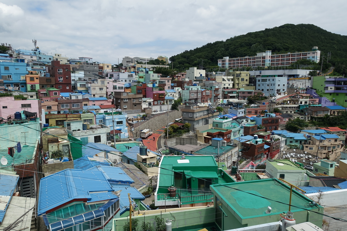 f:id:dongguacha:20200918172901j:plain