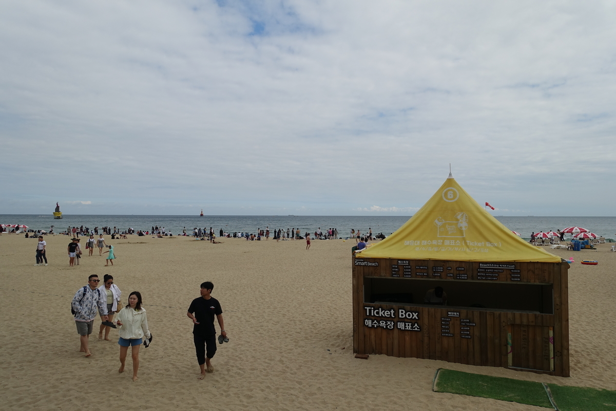 f:id:dongguacha:20200918173607j:plain