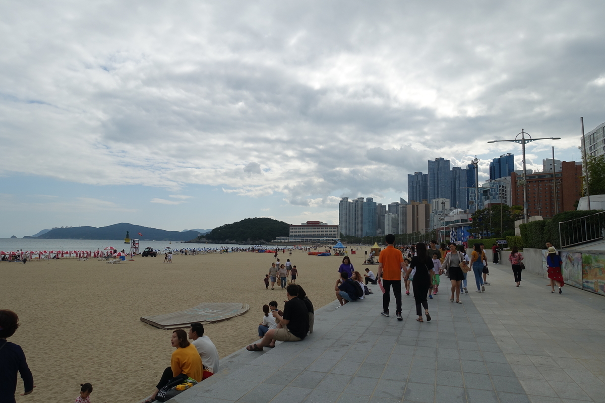 f:id:dongguacha:20200918173610j:plain