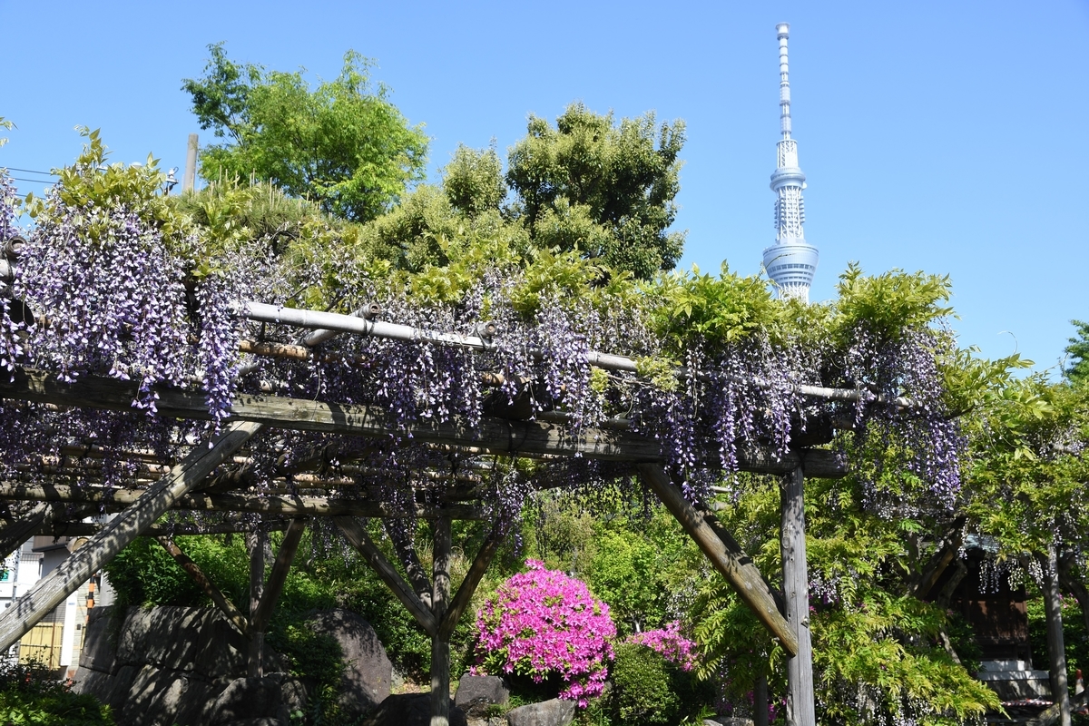 f:id:dongguacha:20210421224455j:plain