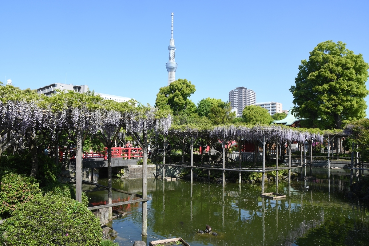 f:id:dongguacha:20210421224634j:plain