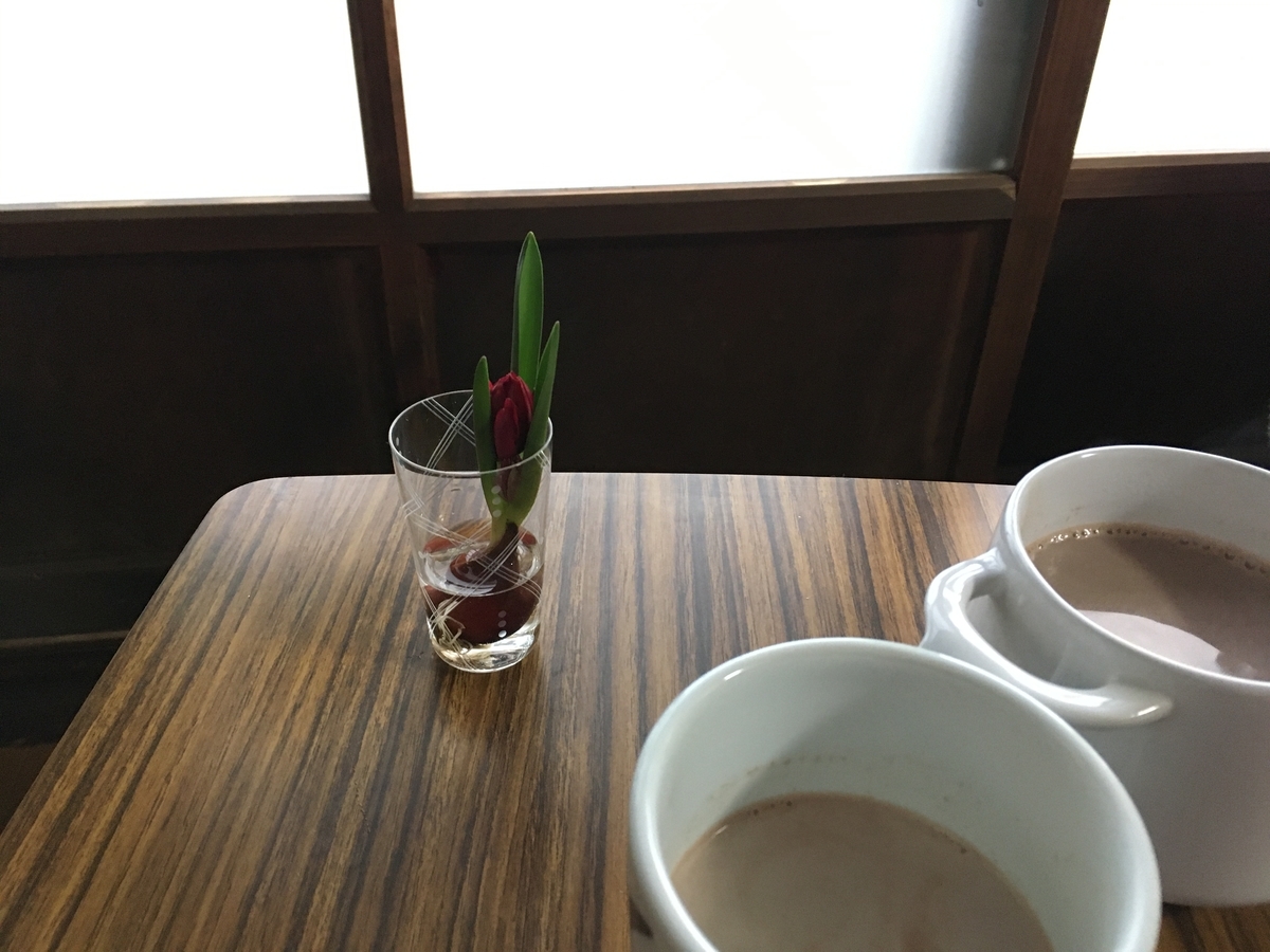 f:id:donguri_1:20210118112308j:plain
