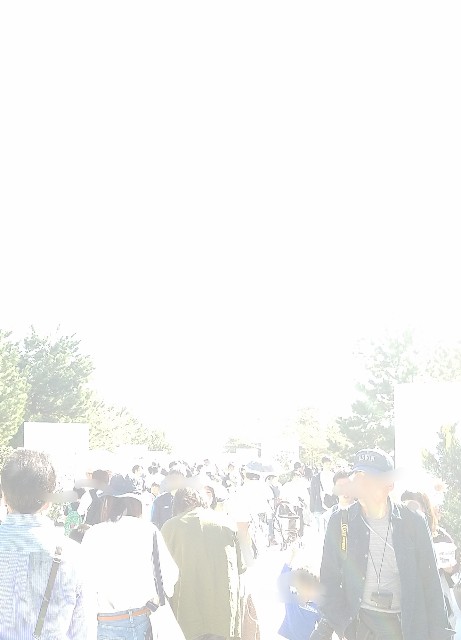 f:id:dongurin23:20181021183143j:image f:id:dongurin23:20181021183143j:image