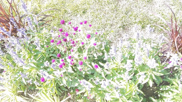 f:id:dongurin23:20181021183401j:image f:id:dongurin23:20181021183401j:image