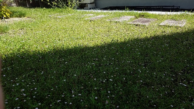 f:id:dongurin23:20190715105828j:image f:id:dongurin23:20190715105828j:image
