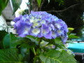 20100622091312