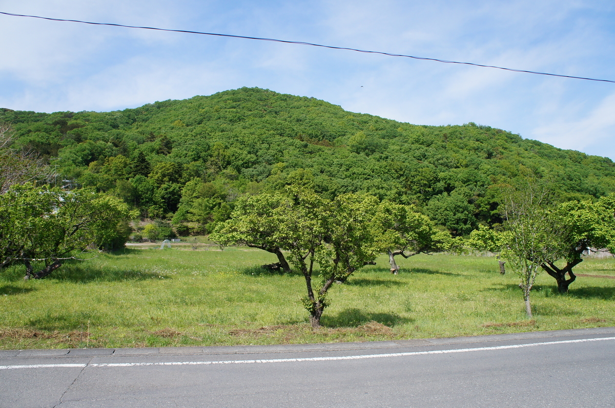 f:id:donitia:20190505112908j:plain f:id:donitia:20190505112908j:plain
