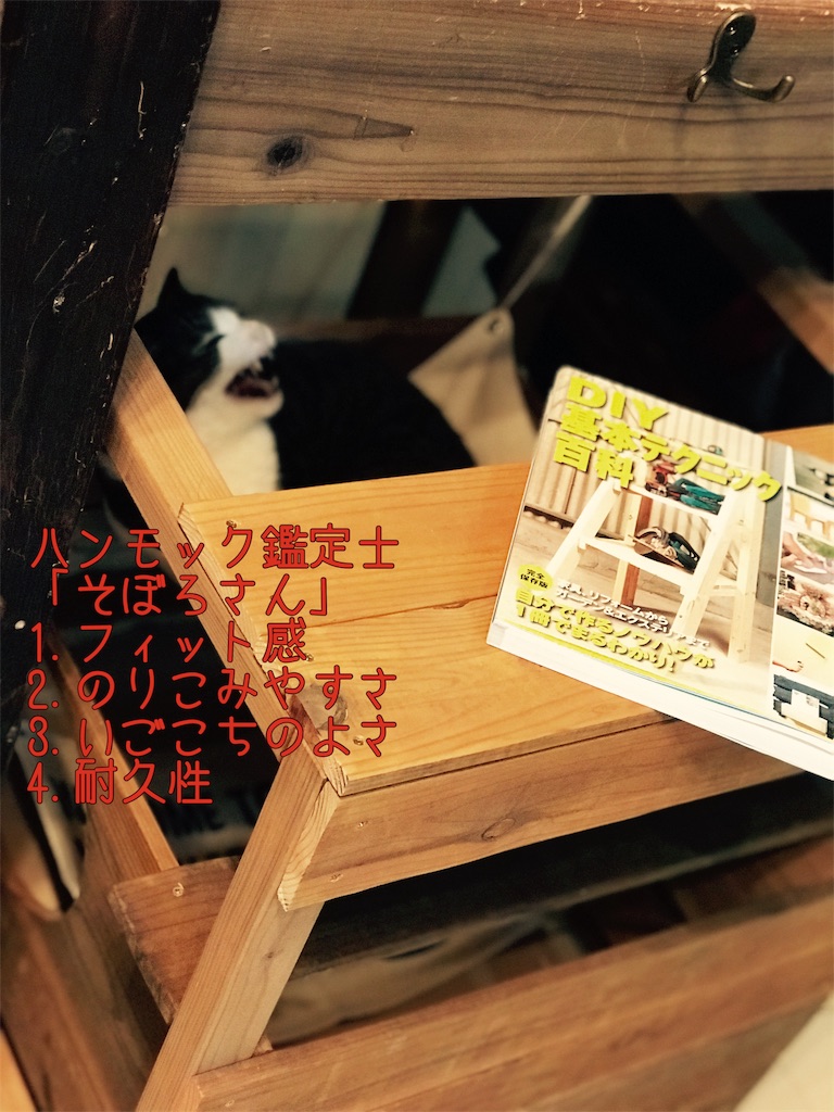 f:id:donkilovsurf:20191115003338j:image f:id:donkilovsurf:20191115003338j:image