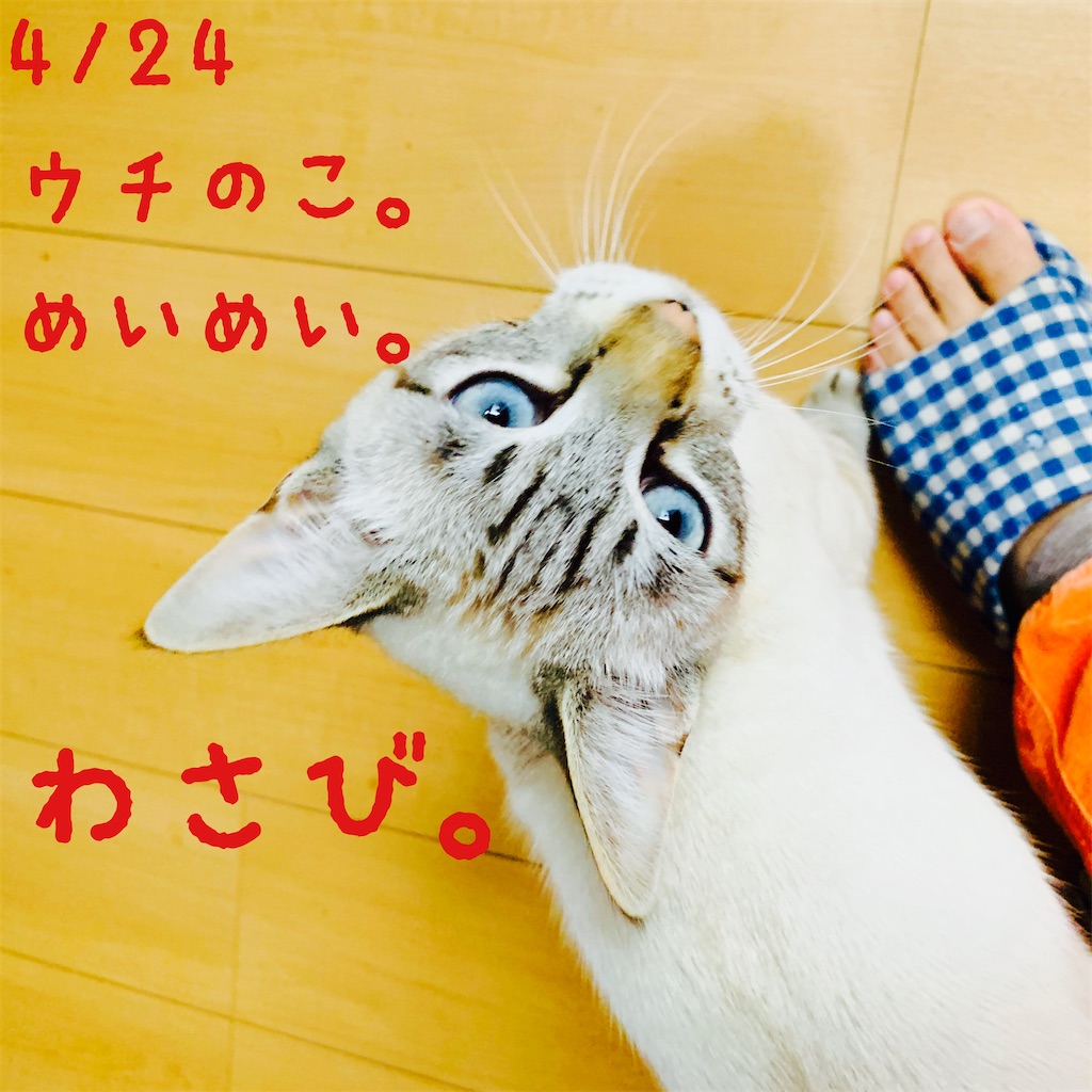 f:id:donkilovsurf:20200424225207j:image f:id:donkilovsurf:20200424225207j:image