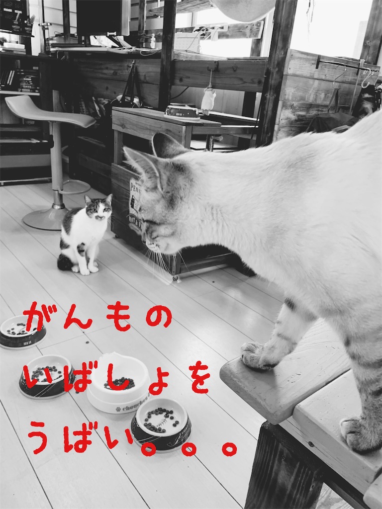f:id:donkilovsurf:20200509000757j:image