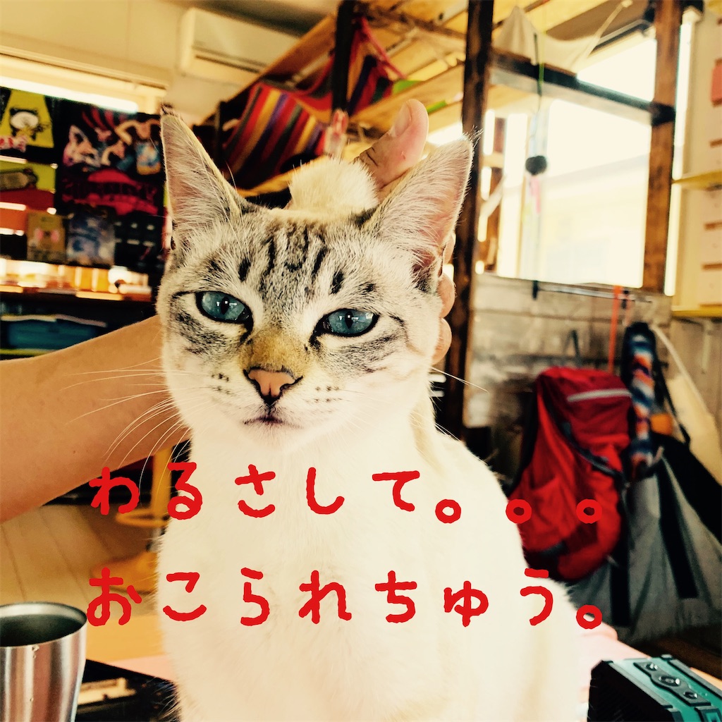 f:id:donkilovsurf:20200509000902j:image