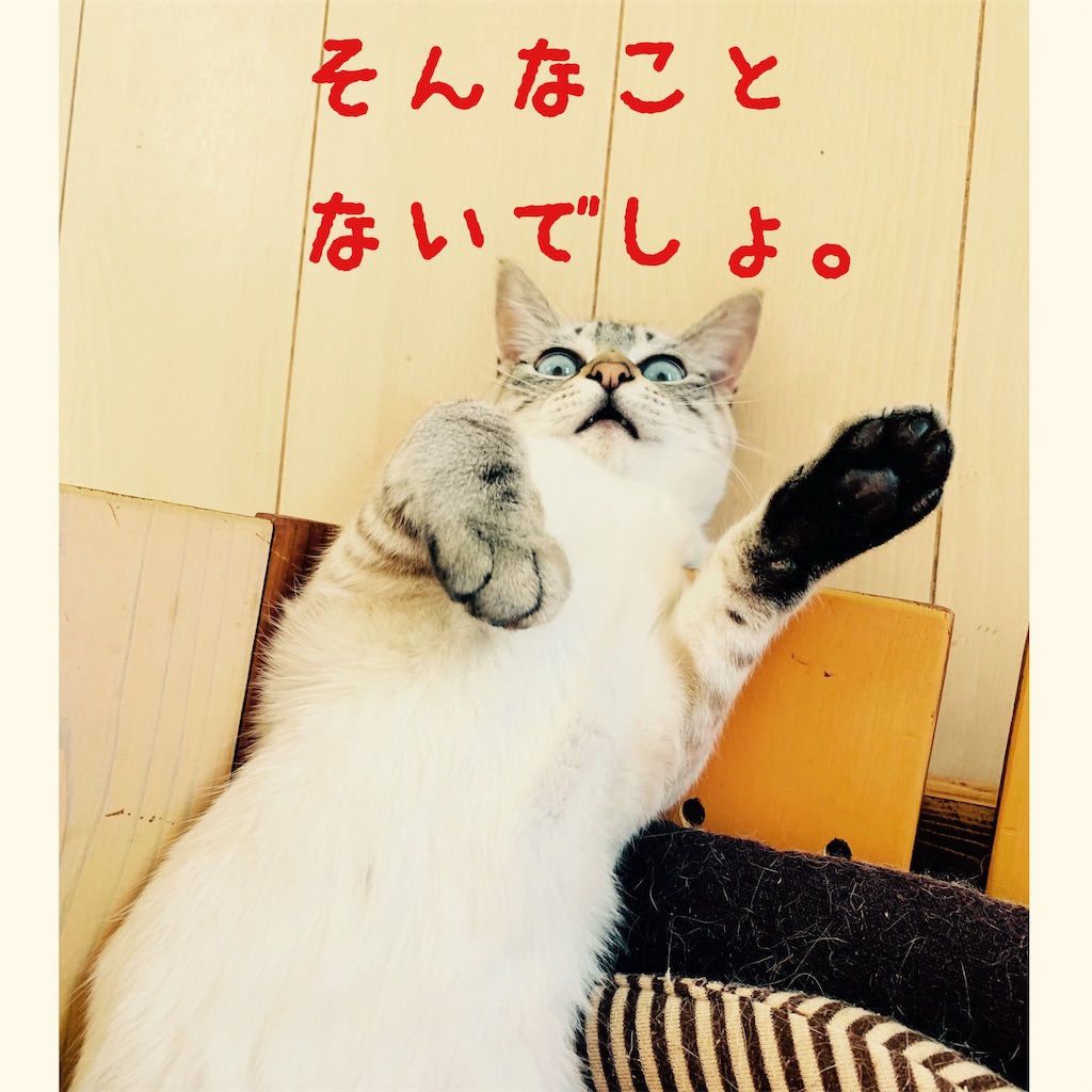f:id:donkilovsurf:20200509001128j:image