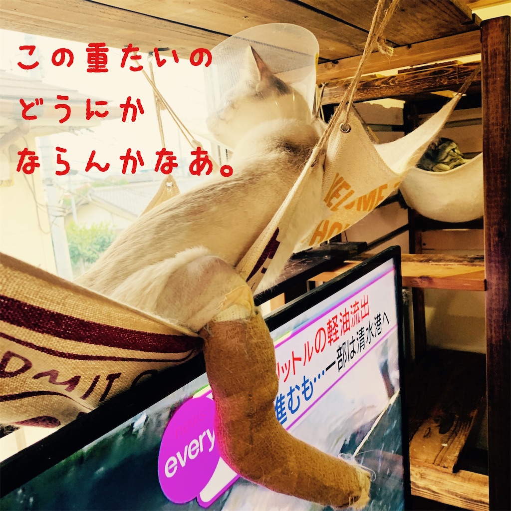 f:id:donkilovsurf:20200625213634j:image
