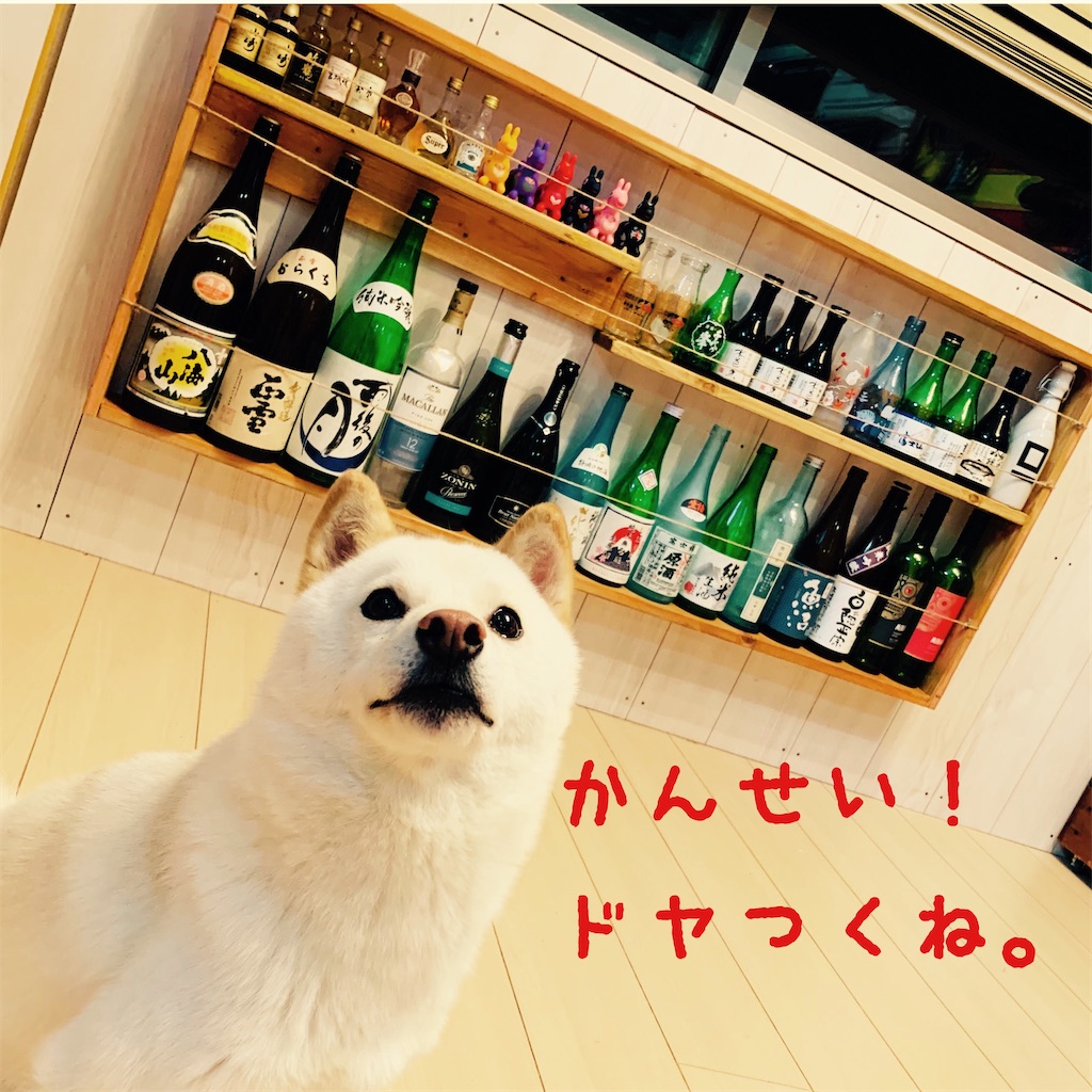 f:id:donkilovsurf:20200702003630j:image f:id:donkilovsurf:20200702003630j:image