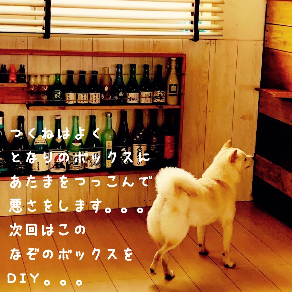 f:id:donkilovsurf:20200702003714j:image f:id:donkilovsurf:20200702003714j:image