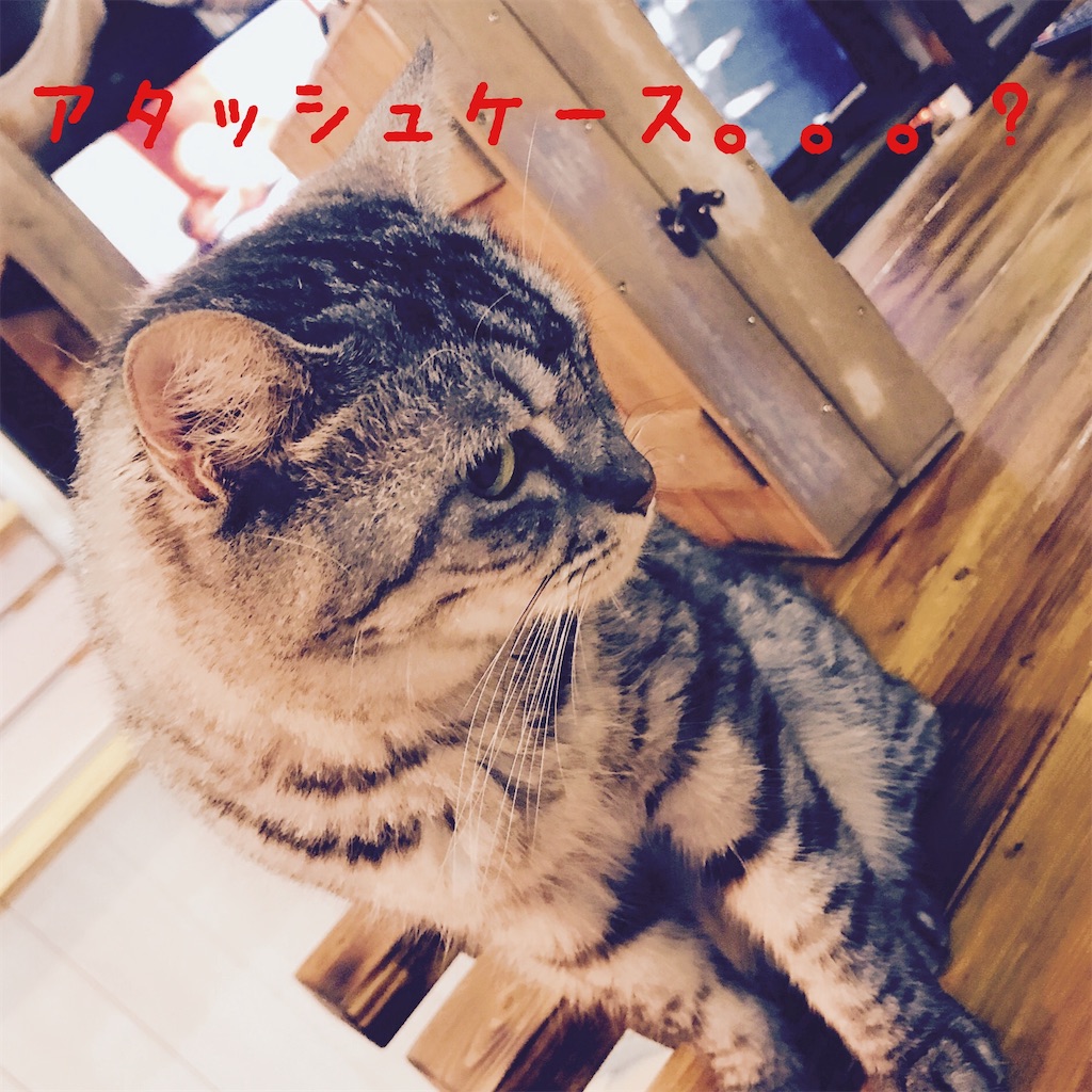 f:id:donkilovsurf:20200704224503j:image f:id:donkilovsurf:20200704224503j:image