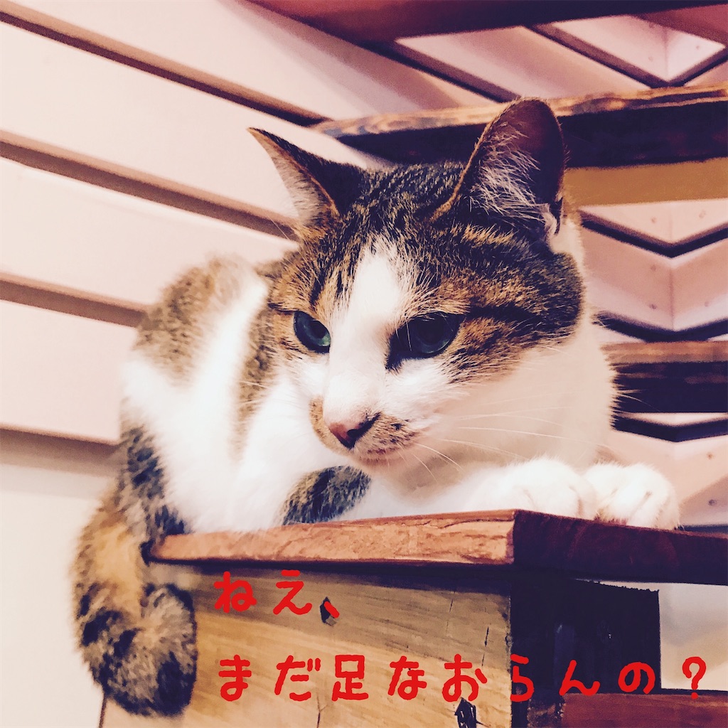 f:id:donkilovsurf:20200704224715j:image f:id:donkilovsurf:20200704224715j:image