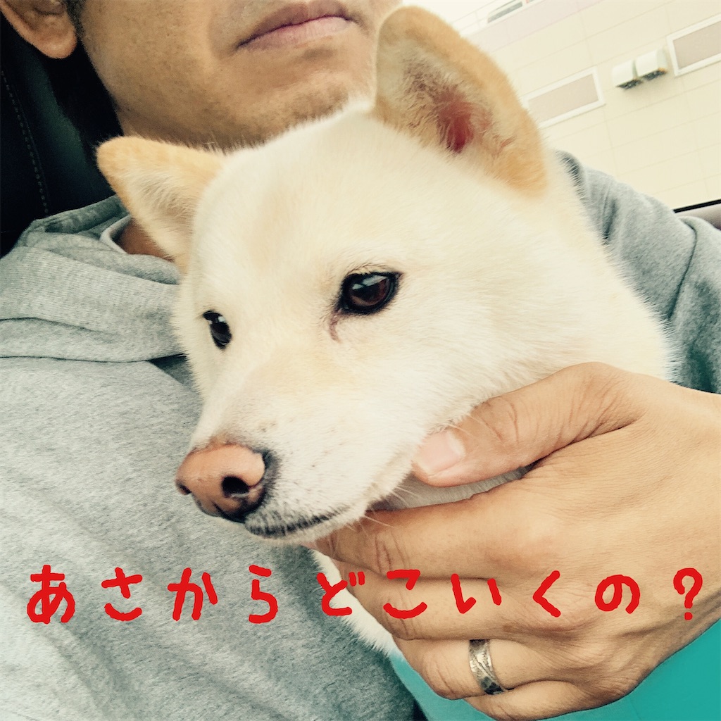 f:id:donkilovsurf:20200921232735j:image f:id:donkilovsurf:20200921232735j:image