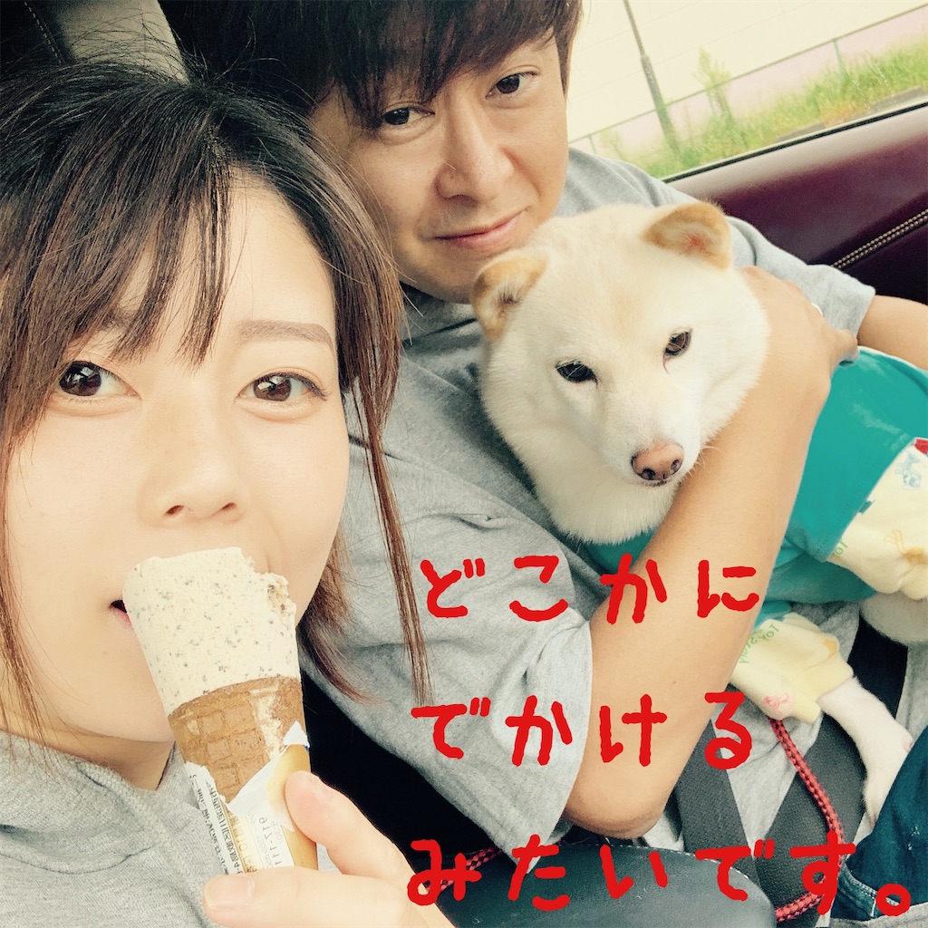 f:id:donkilovsurf:20200921232745j:image f:id:donkilovsurf:20200921232745j:image