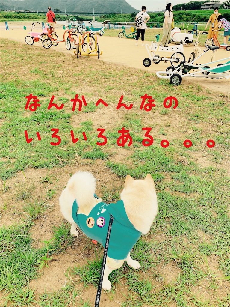 f:id:donkilovsurf:20200921233659j:image f:id:donkilovsurf:20200921233659j:image
