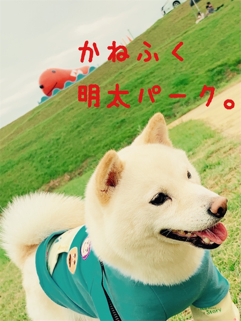 f:id:donkilovsurf:20200921233703j:image f:id:donkilovsurf:20200921233703j:image