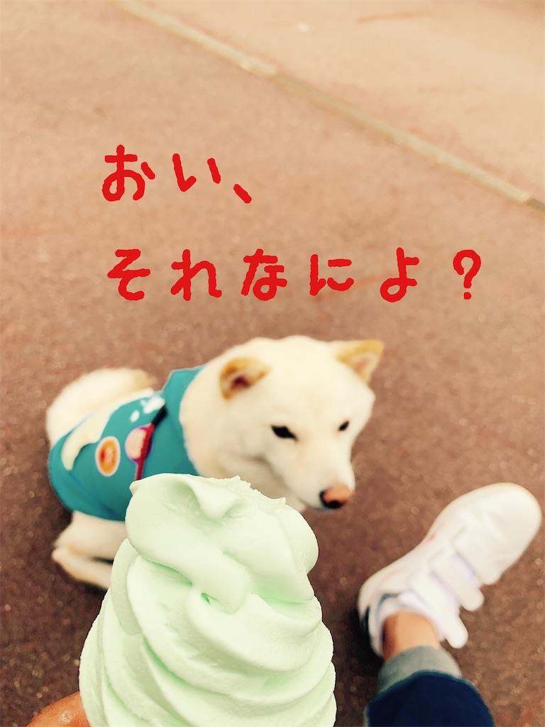 f:id:donkilovsurf:20200921234317j:image f:id:donkilovsurf:20200921234317j:image