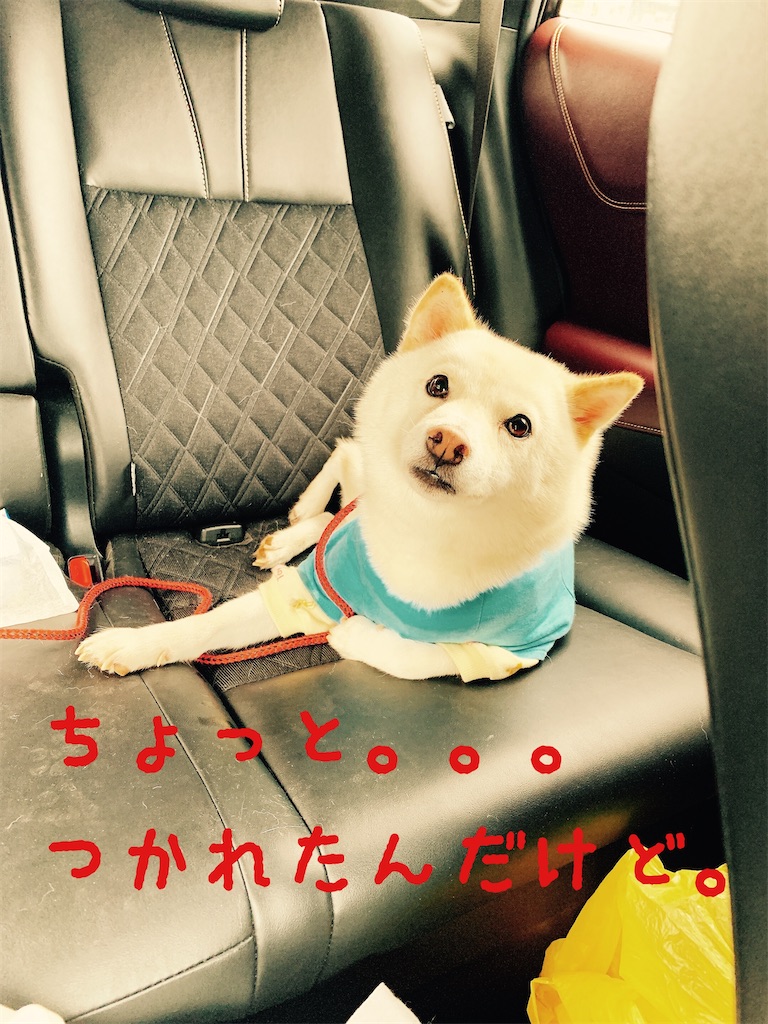 f:id:donkilovsurf:20200921235818j:image f:id:donkilovsurf:20200921235818j:image