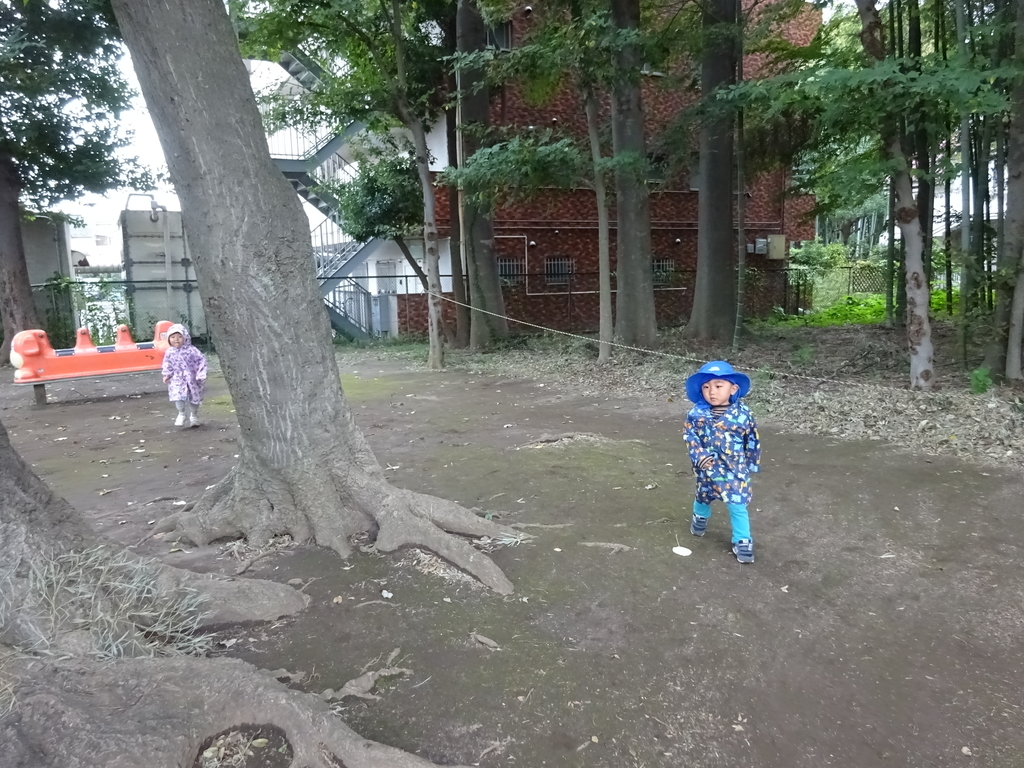 f:id:donkoro:20140101012017j:plain f:id:donkoro:20140101012017j:plain