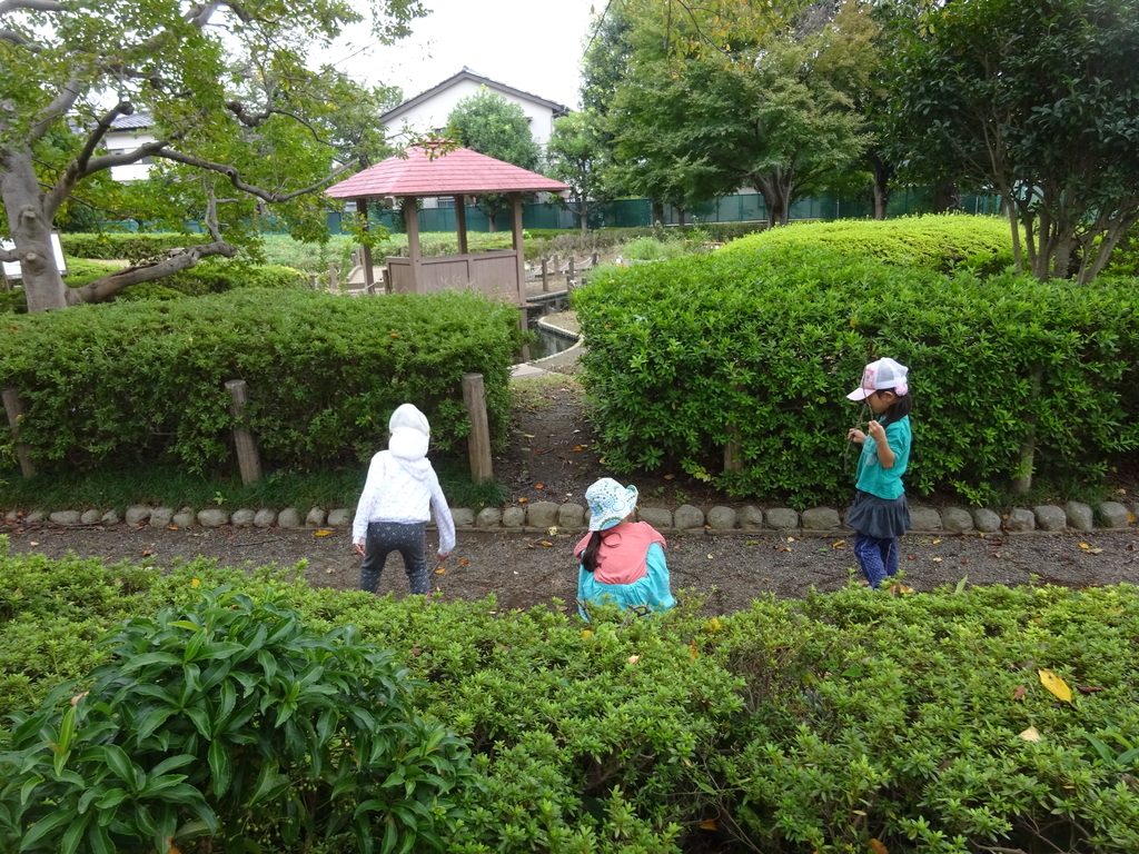 f:id:donkoro:20140102014358j:plain f:id:donkoro:20140102014358j:plain