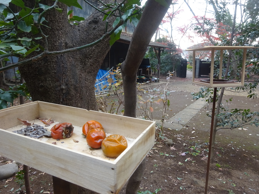 f:id:donkoro:20140324234919j:plain