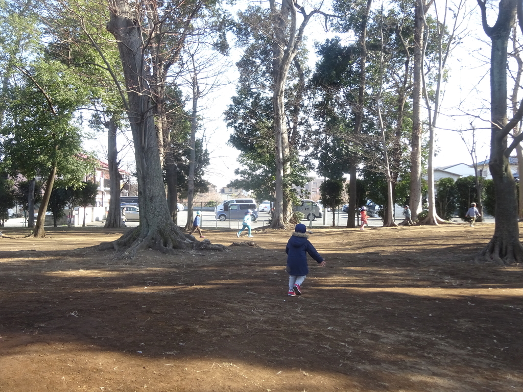 f:id:donkoro:20140415020358j:plain