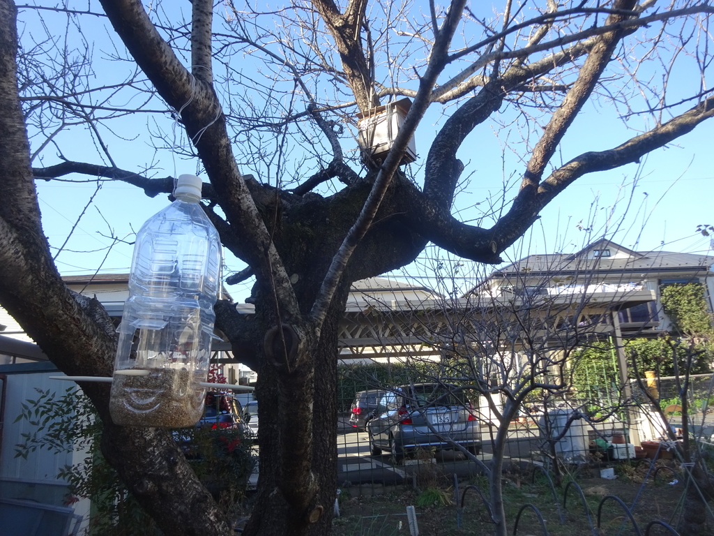 f:id:donkoro:20140416235557j:plain