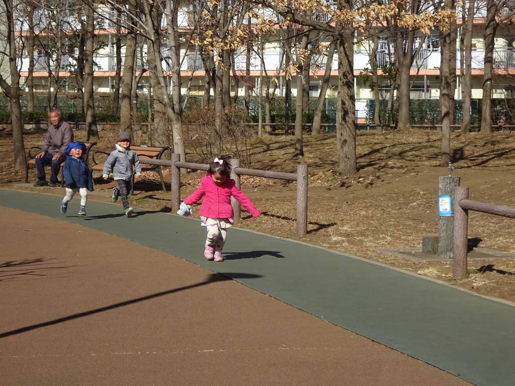 f:id:donkoro:20140423012705j:plain