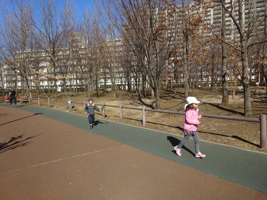 f:id:donkoro:20140423012741j:plain