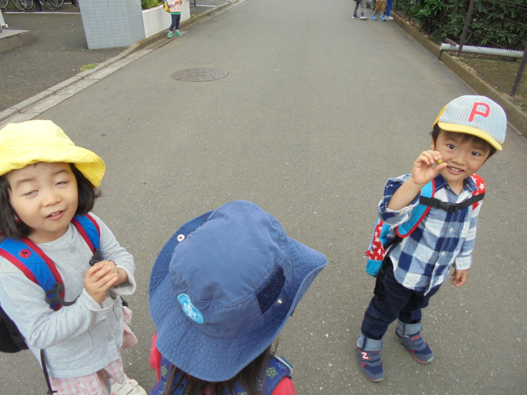 f:id:donkoro:20160630111816j:plain