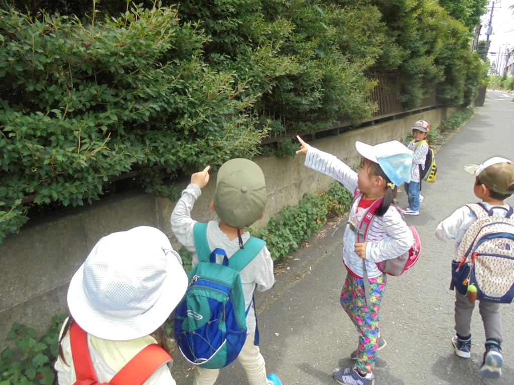 f:id:donkoro:20160708122334j:plain