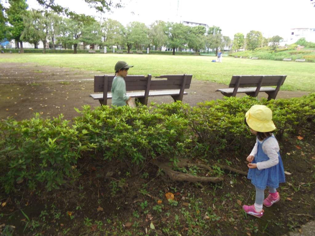 f:id:donkoro:20160727115000j:plain f:id:donkoro:20160727115000j:plain