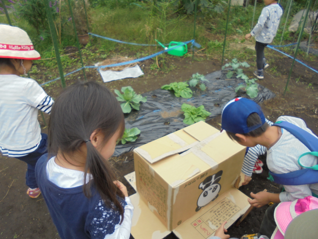 f:id:donkoro:20161011124602j:plain