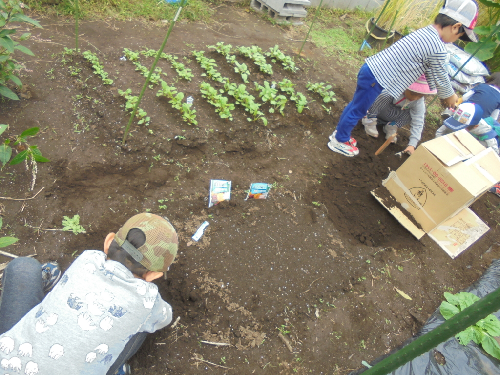 f:id:donkoro:20161011124946j:plain