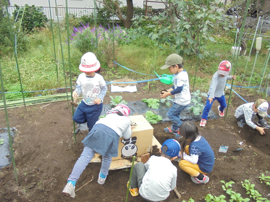 f:id:donkoro:20161011125428j:plain