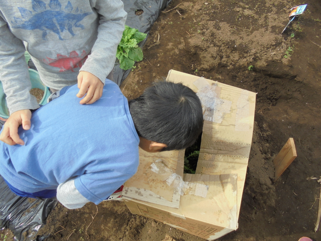 f:id:donkoro:20161014093716j:plain