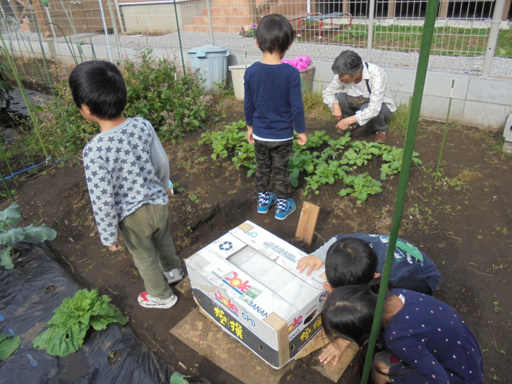 f:id:donkoro:20161019093845j:plain