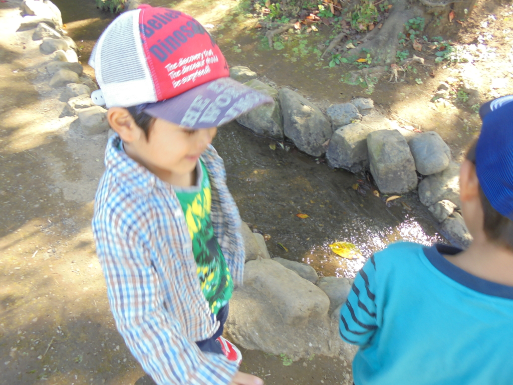 f:id:donkoro:20161024115549j:plain f:id:donkoro:20161024115549j:plain