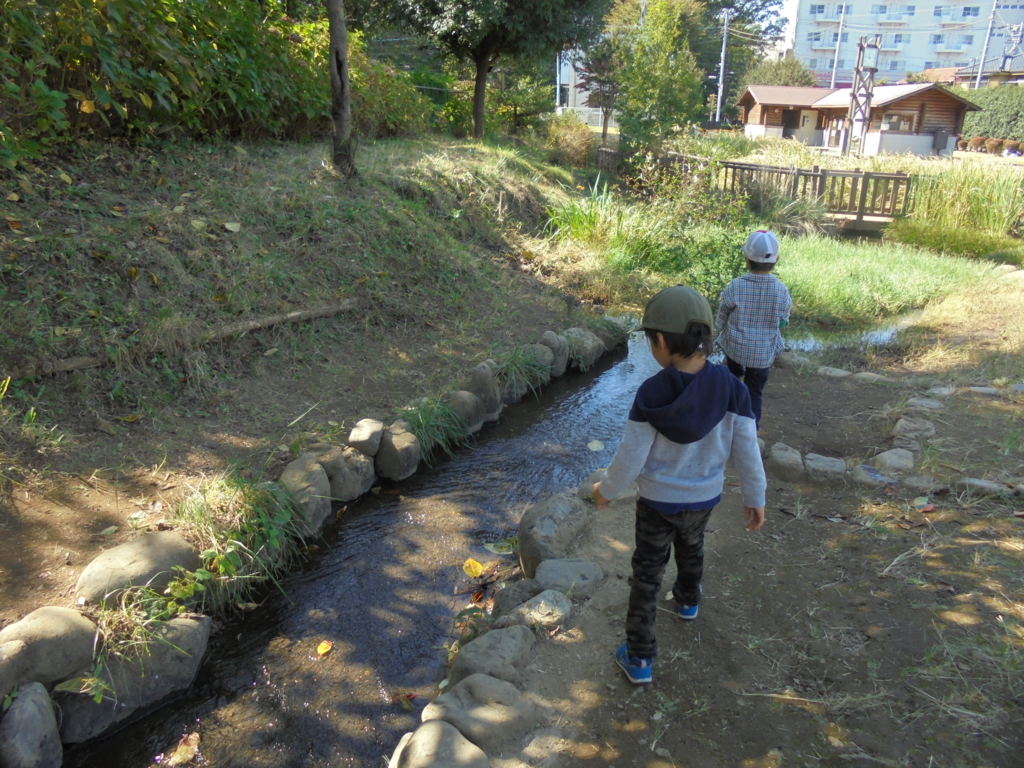 f:id:donkoro:20161024115642j:plain f:id:donkoro:20161024115642j:plain