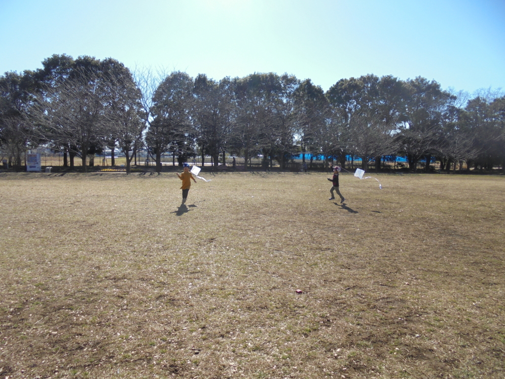 f:id:donkoro:20170112114035j:plain