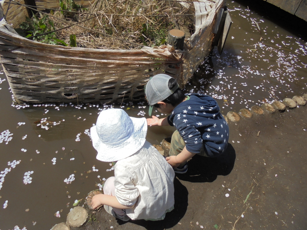 f:id:donkoro:20170412114226j:plain f:id:donkoro:20170412114226j:plain