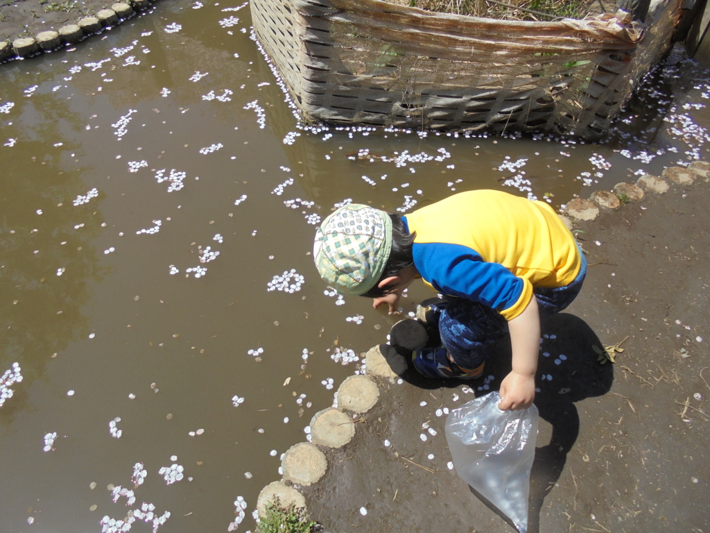 f:id:donkoro:20170412114325j:plain f:id:donkoro:20170412114325j:plain